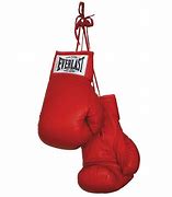 Image result for Boxing