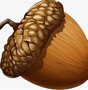 Image result for acor�n