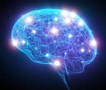 Image result for Mind Brain Body Connection