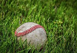 Image result for Baseball Pile Grass