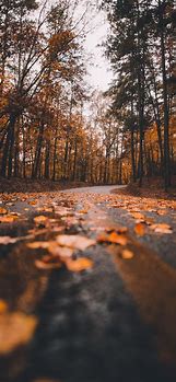 Image result for Fall. iOS Wallpaper
