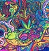 Image result for Scooby Doo Weed Wallpaper