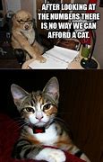 Image result for Cute Funny Dog with Cat Memes