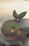 Image result for Angry Turtwig
