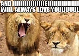 Image result for Funny I Love You Quotes for Her