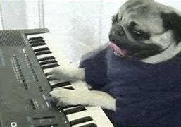 Image result for Dog Playing Piano Dreaming Meme
