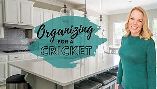 Image result for Organizing Cricket Matches
