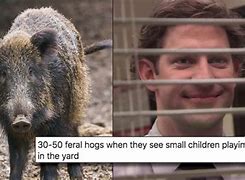 Image result for 30. Wild Hogs Meme