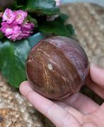 Image result for Petrified Wood Sphere