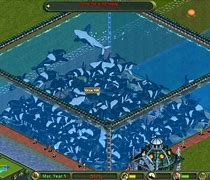 Image result for Zoo Tycoon Whale Meme