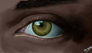 Image result for Human Eye Art