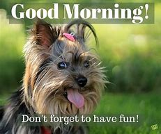 Image result for Good Morning Memes Cute