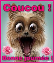 Image result for Image bonne journée