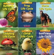 Image result for Life Cycle HD Pictures for School Science