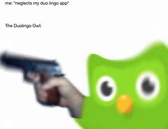 Image result for Evil Duolingo Owl Meme