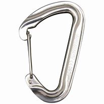Image result for Double Wire Gate Carabiner
