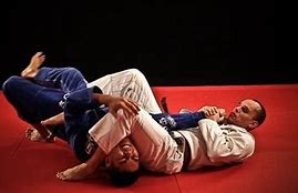 Image result for Judo vs Jiu Jitsu