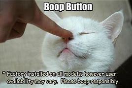 Image result for Cat Booping Meme