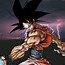 Image result for Dragon Ball Z Profile