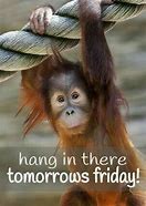 Image result for Funny Hang in There Work Memes