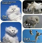 Image result for Prepared for Weather Meme