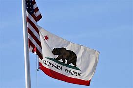 Image result for California Flag