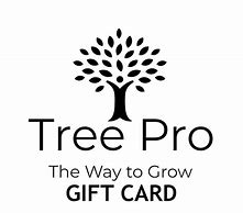 Image result for Gift Card Tree