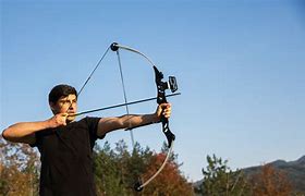 Image result for Recurve Bow Hunting
