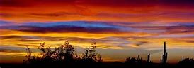 Image result for Sonoran Desert Sunrise