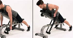 Image result for Bench Dumbbell Row