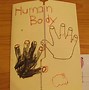 Image result for Human Body Lapbook