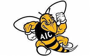 Image result for Yellow Jacket Logo