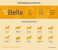 Image result for Common Dog Names