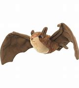 Image result for Agraybat Toy