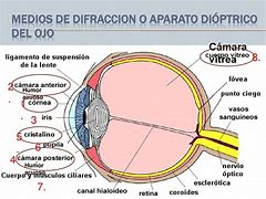 Image result for di�ptrico