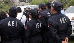 Image result for AEI Agente Ministerial