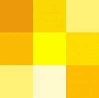 Image result for The Tint Color of Yellow and White