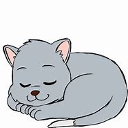Image result for Funny Cat Sleeping