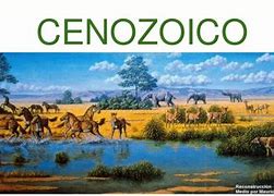 Image result for cenozoico