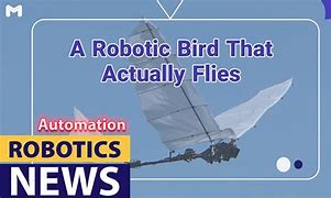 Image result for The First Robot Ever Made Bird