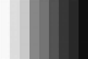 Image result for Gray Color Template Text