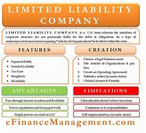 Image result for LLC Business Examples