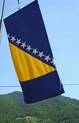 Image result for Bosnia and Herzegovina Old Flag