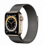 Image result for Apple Watch Gold Stainless Steel Casing