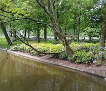 Image result for Amsterdam Park