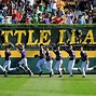Image result for Little League World Series Field