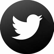 Image result for Twitter Creative Icon