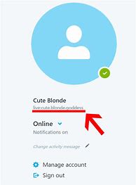 Image result for What Is a Skype ID