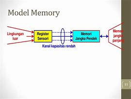Image result for Gambar Memory Manusia Dalam Imk