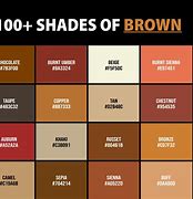 Image result for Cool Brown Color